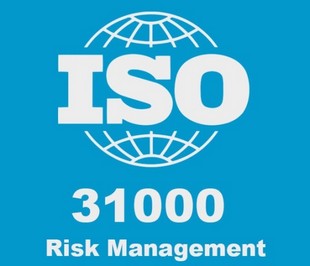 Risk management auditors